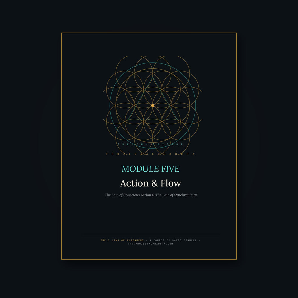 Action & Flow — Module 5 of The 7 Laws of Alignment