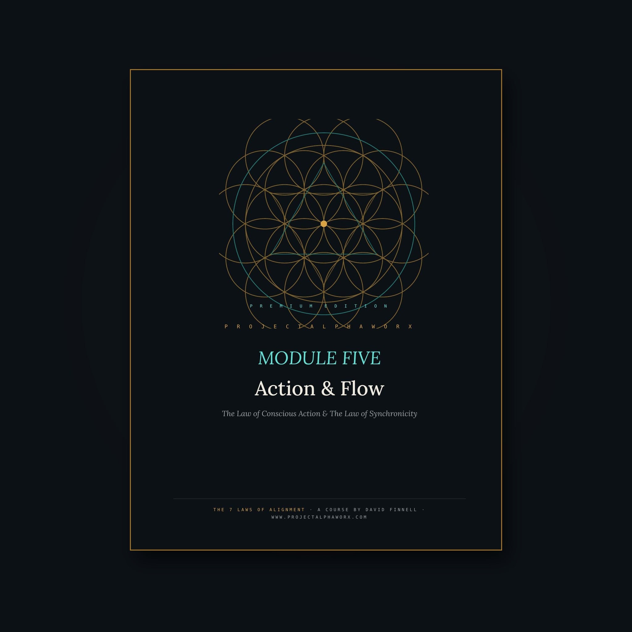 Action & Flow — Module 5 of The 7 Laws of Alignment (Premium PDF Course)
