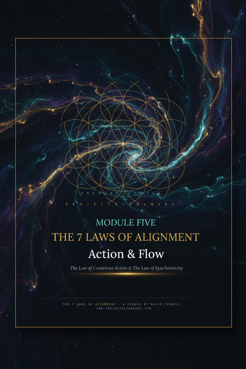 The 7 Laws of Alignment – Module 5: Action & Flow